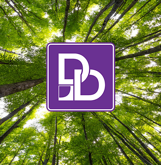 trees_square_sm